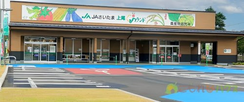【スーパー】JAさいたま農産物直売所-上尾ぐるめ米ランドまで836ｍ