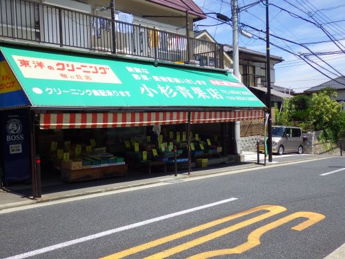 【その他】小杉青果店まで782ｍ