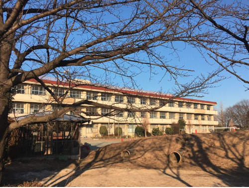 【小学校】加須市立種足小学校まで1668ｍ