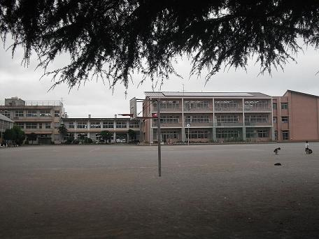 【小学校】ひたちなか市立佐野小学校まで806ｍ