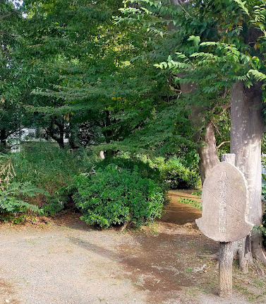 【公園】八木が谷南緑地まで312ｍ