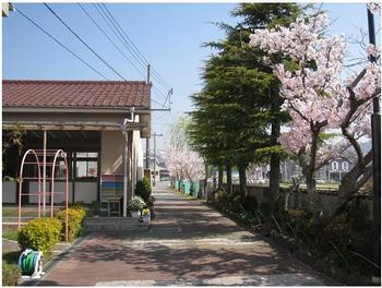 【幼稚園】花田幼稚園まで831ｍ