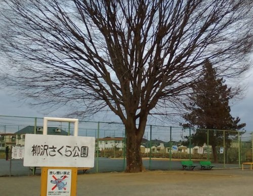 【公園】柳沢さくら公園まで755ｍ