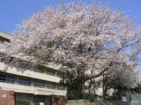 【中学校】海老名市立　大谷中学校まで1152ｍ