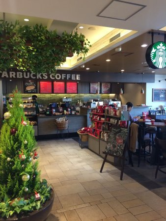 【喫茶店・カフェ】スターバックスカフェ　アトレヴィ田端店まで573ｍ