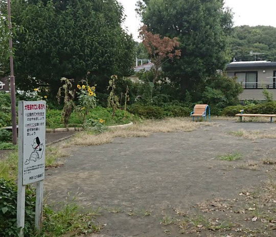 【公園】菅田台町公園まで901ｍ
