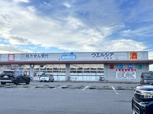 【ドラッグストア】ウエルシア花園店まで3743ｍ