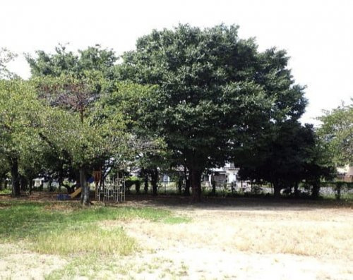 【公園】城西公園まで810ｍ