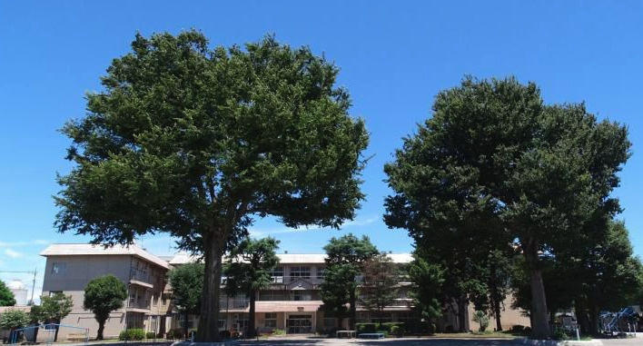 【小学校】鴻巣市立鴻巣東小学校まで104ｍ