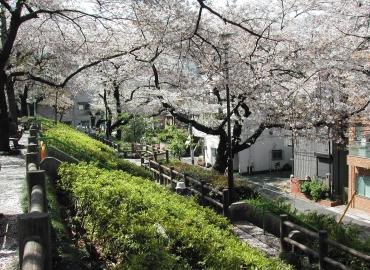 【公園】清和公園まで226ｍ