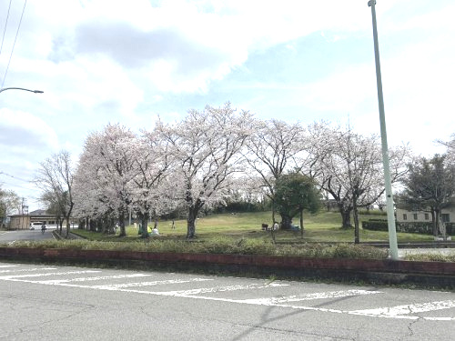 【公園】久喜市コミュニティ広場まで540ｍ