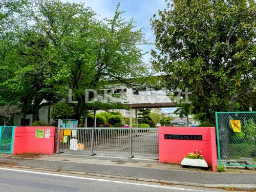【小学校】船橋市立薬円台小学校まで400ｍ
