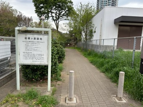 【公園】桔梗ヶ原緑地まで738ｍ