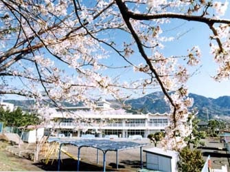 【幼稚園】秦野市立北幼稚園まで1257ｍ