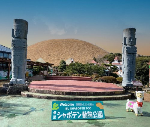 【その他】伊豆シャボテン動物公園まで10195ｍ
