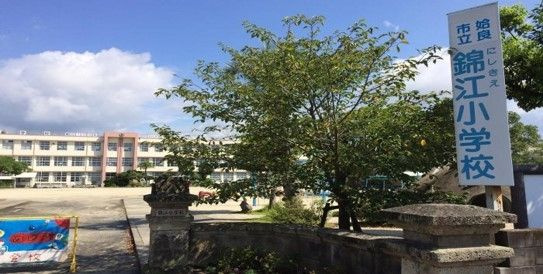 【小学校】姶良市立錦江小学校まで494ｍ