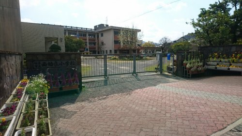 【小学校】姶良市立西姶良小学校まで2009ｍ