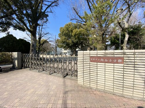 【小学校】熊本市立向山小学校まで448ｍ