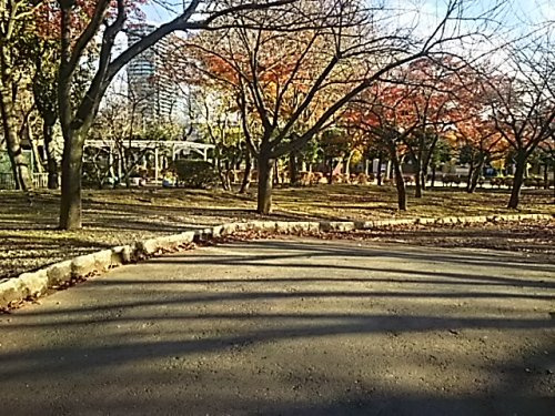 【公園】上落合公園まで724ｍ