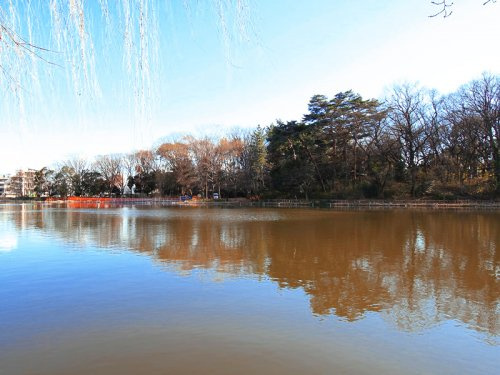 【公園】石神井公園まで1980ｍ