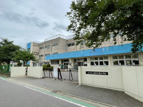 【小学校】松戸市立新松戸南小学校まで260ｍ
