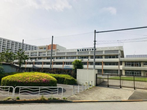 【小学校】江東区立大島南央小学校まで537ｍ