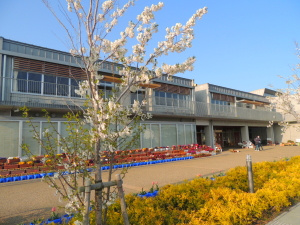 【小学校】東海村立白方小学校まで1082ｍ