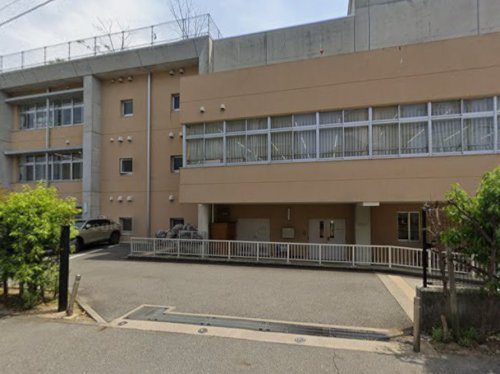 【小学校】芦屋市立精道小学校まで809ｍ
