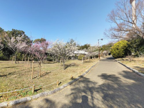 【公園】芦屋中央公園まで852ｍ