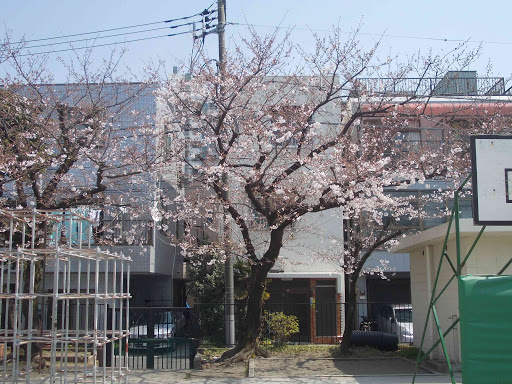 【小学校】江東区立砂町小学校まで566ｍ