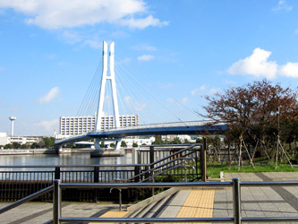 【公園】東雲水辺公園まで270ｍ