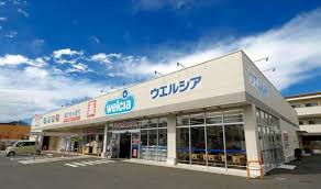 【ドラッグストア】ウエルシア坂戸にっさい花みず木店まで2051ｍ