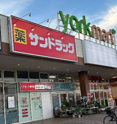 【ドラッグストア】サンドラッグ　下藤沢店まで713ｍ