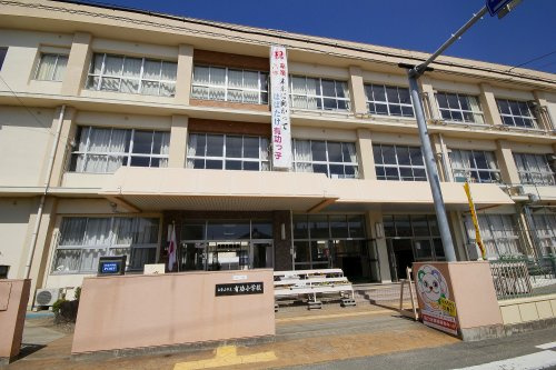 【小学校】有功小学校まで599ｍ