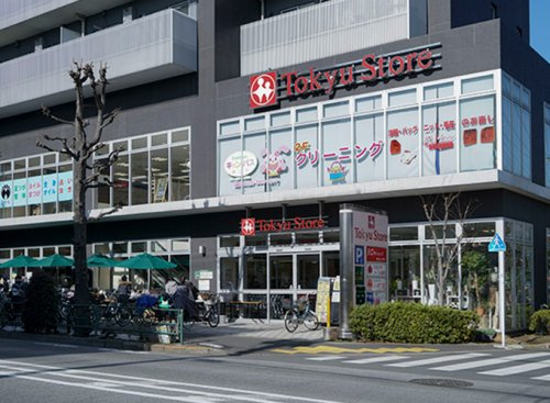 【スーパー】東急ストア駒沢通り野沢店まで149ｍ