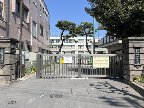 【小学校】目黒区立駒場小学校まで600ｍ