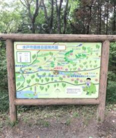 【公園】水戸市森林公園まで7295ｍ