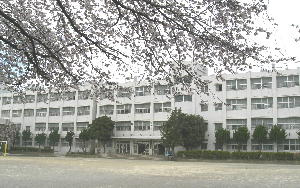 【小学校】大和市立緑野小学校まで779ｍ