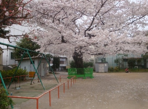 【公園】塔の山公園まで744ｍ