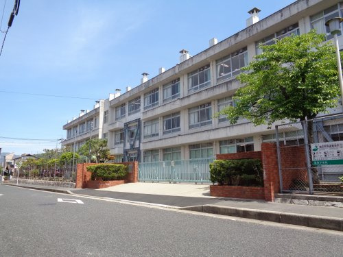 【小学校】亀崎小学校まで711ｍ