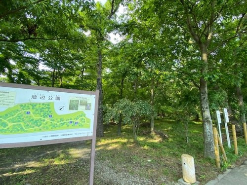 【公園】池辺公園まで629ｍ