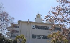 【中学校】越谷市立大袋中学校まで1440ｍ