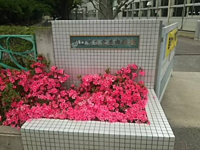 【中学校】川口市立幸並中学校まで838ｍ