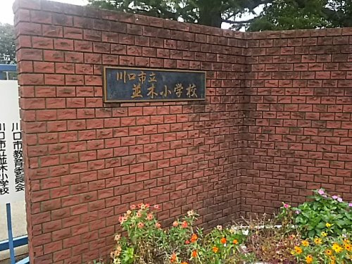 【小学校】川口市立並木小学校まで1163ｍ
