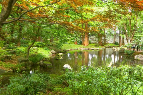 【公園】林試の森公園まで540ｍ