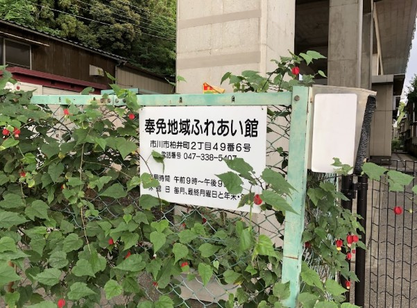 【その他】市川市役所　奉免地域ふれあい館まで917ｍ