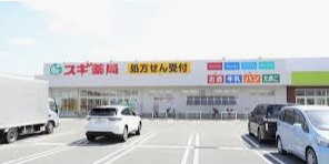 【ドラッグストア】スギ薬局　姫路花田店まで519ｍ