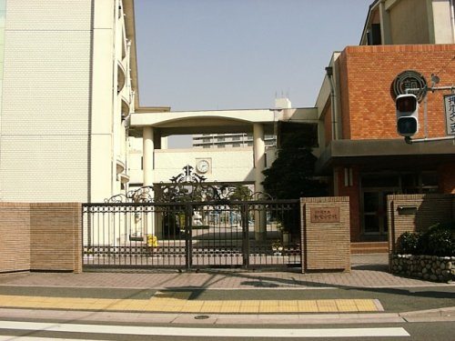 【小学校】名古屋市立新栄小学校まで244ｍ