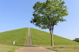 【公園】たつのこ山まで1312ｍ