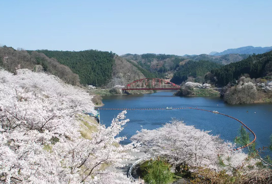 【その他】青蓮寺湖まで26768ｍ